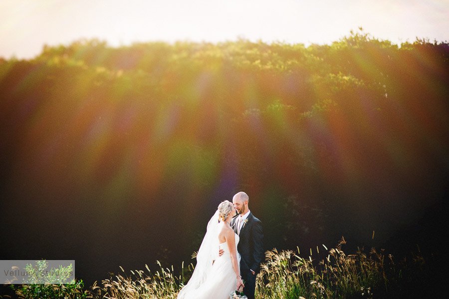 Wedding Photography Brisbane - sun flare